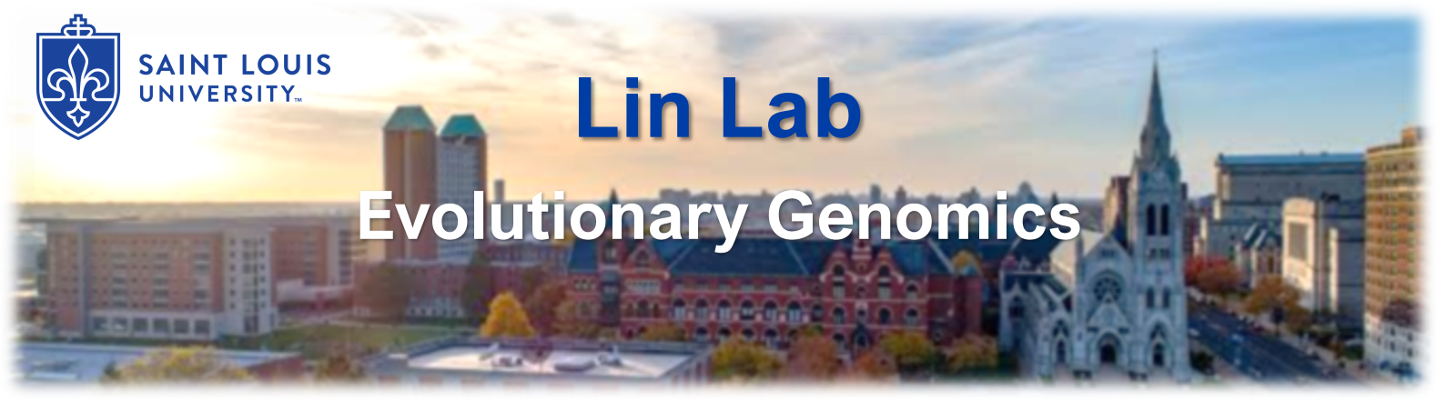 Lin Lab banner